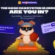 Dogeball banner.