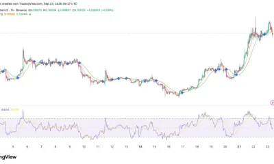 Dogecoin (DOGE) price chart, source: TradingView