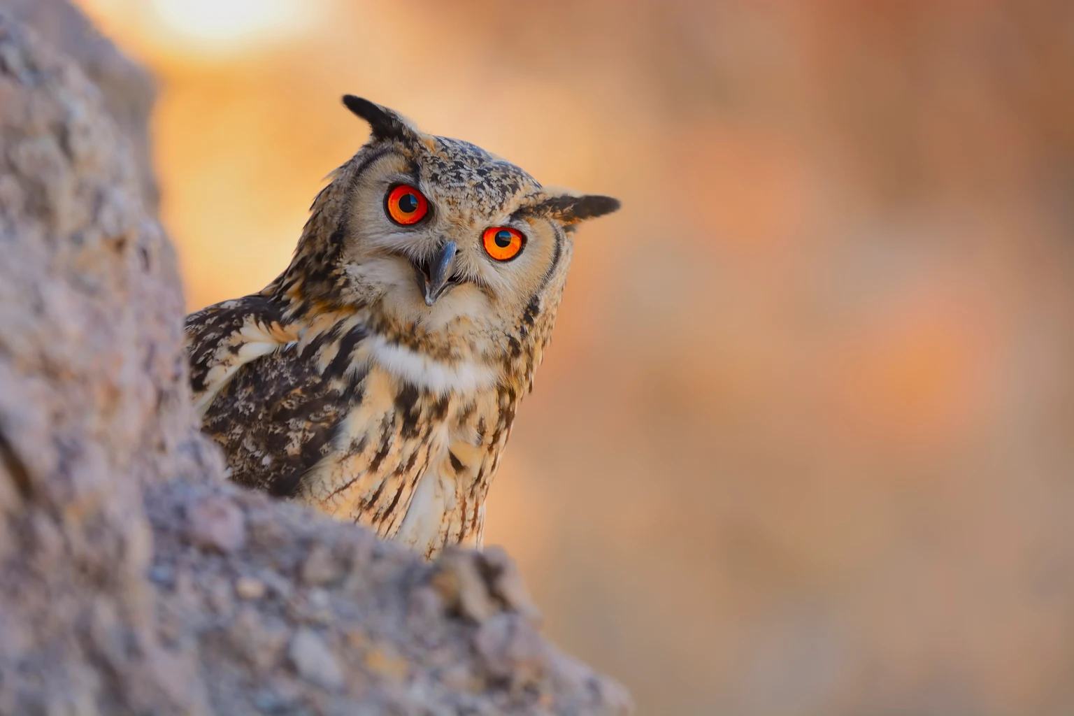 Blue Owl Capital: A Safe Double-Digit Yield (Plus Some Upside!) (NYSE:OBDC)
