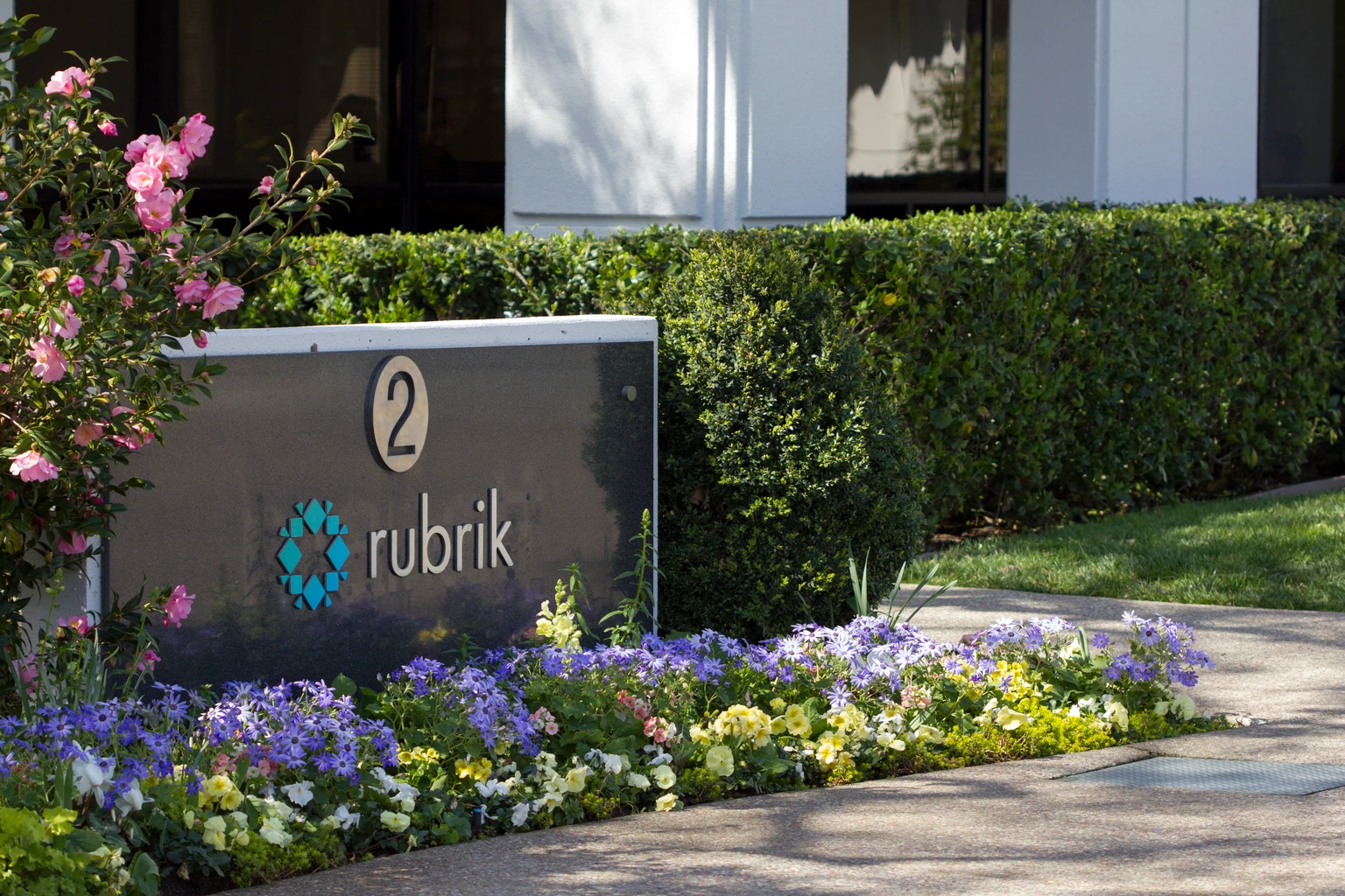 Rubrik: Plenty Of Steam In This Rally As AI Security Concerns Grow