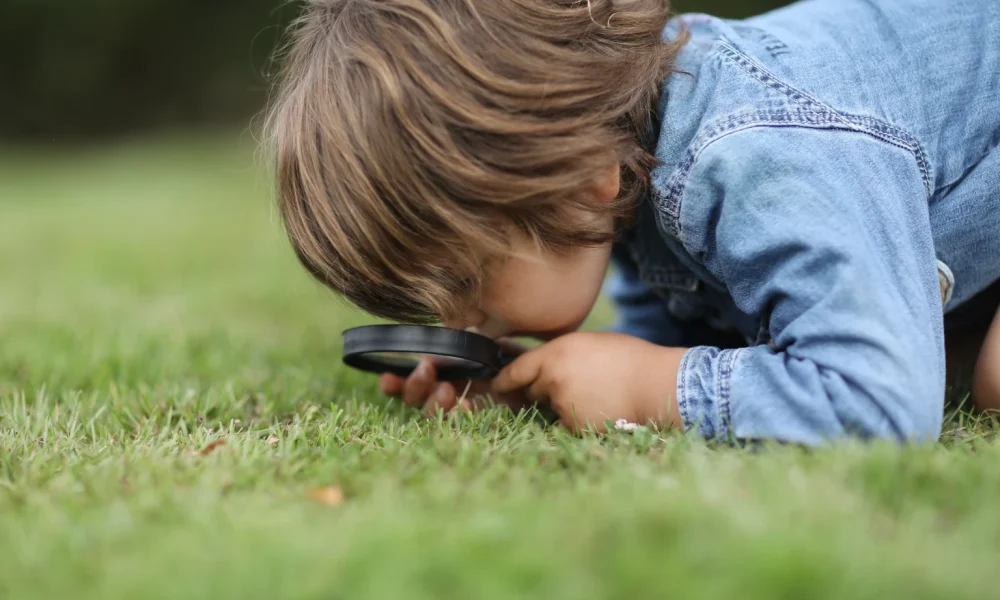 A little boy observing insects with a magnifying glass