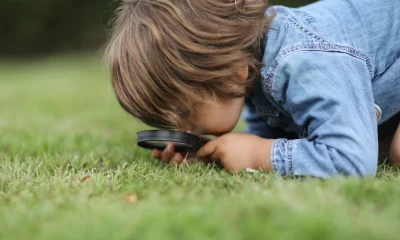 A little boy observing insects with a magnifying glass