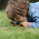 A little boy observing insects with a magnifying glass
