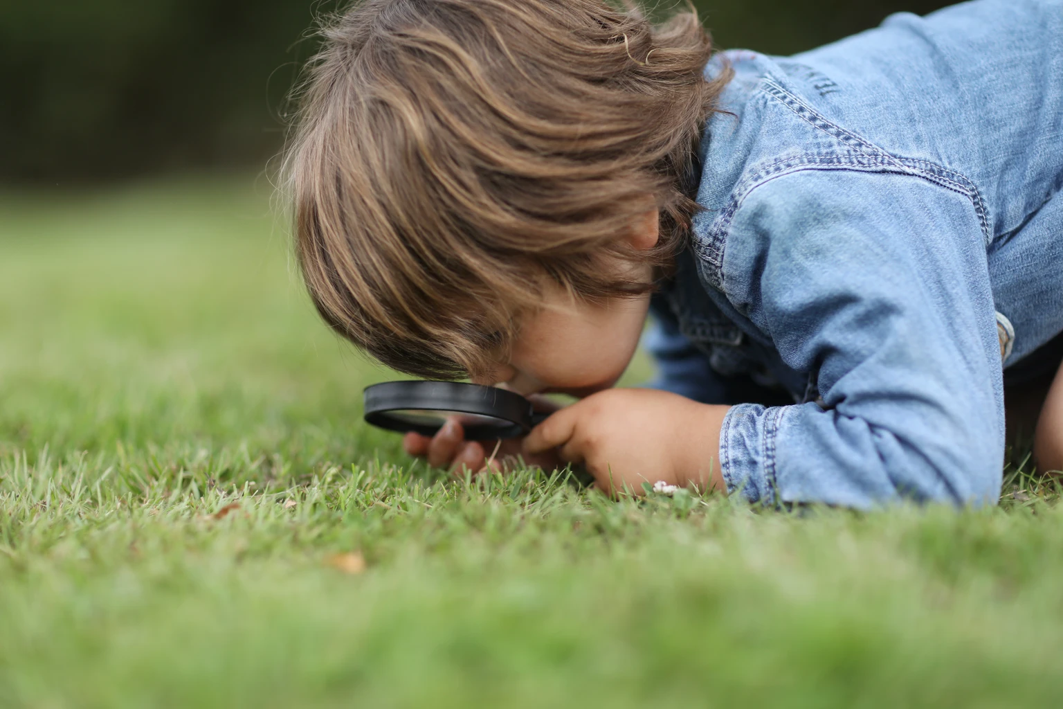 A little boy observing insects with a magnifying glass