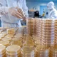 Roivant Sciences: Diverse Exposure To Biotech Niches Through Vants