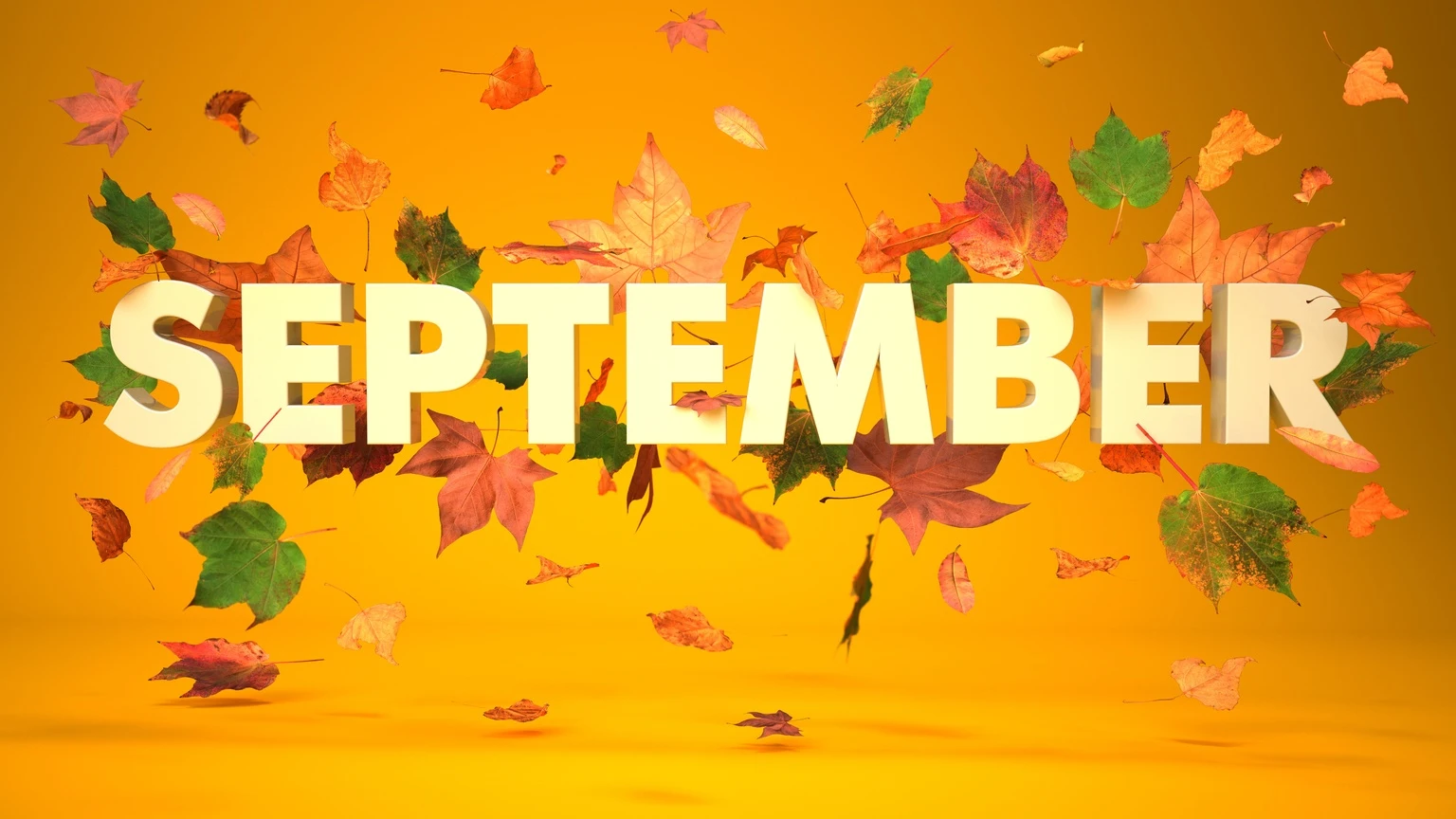 Our September Perspective