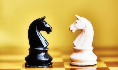 Conflict and rivalry: black and white chess knights face off against each other