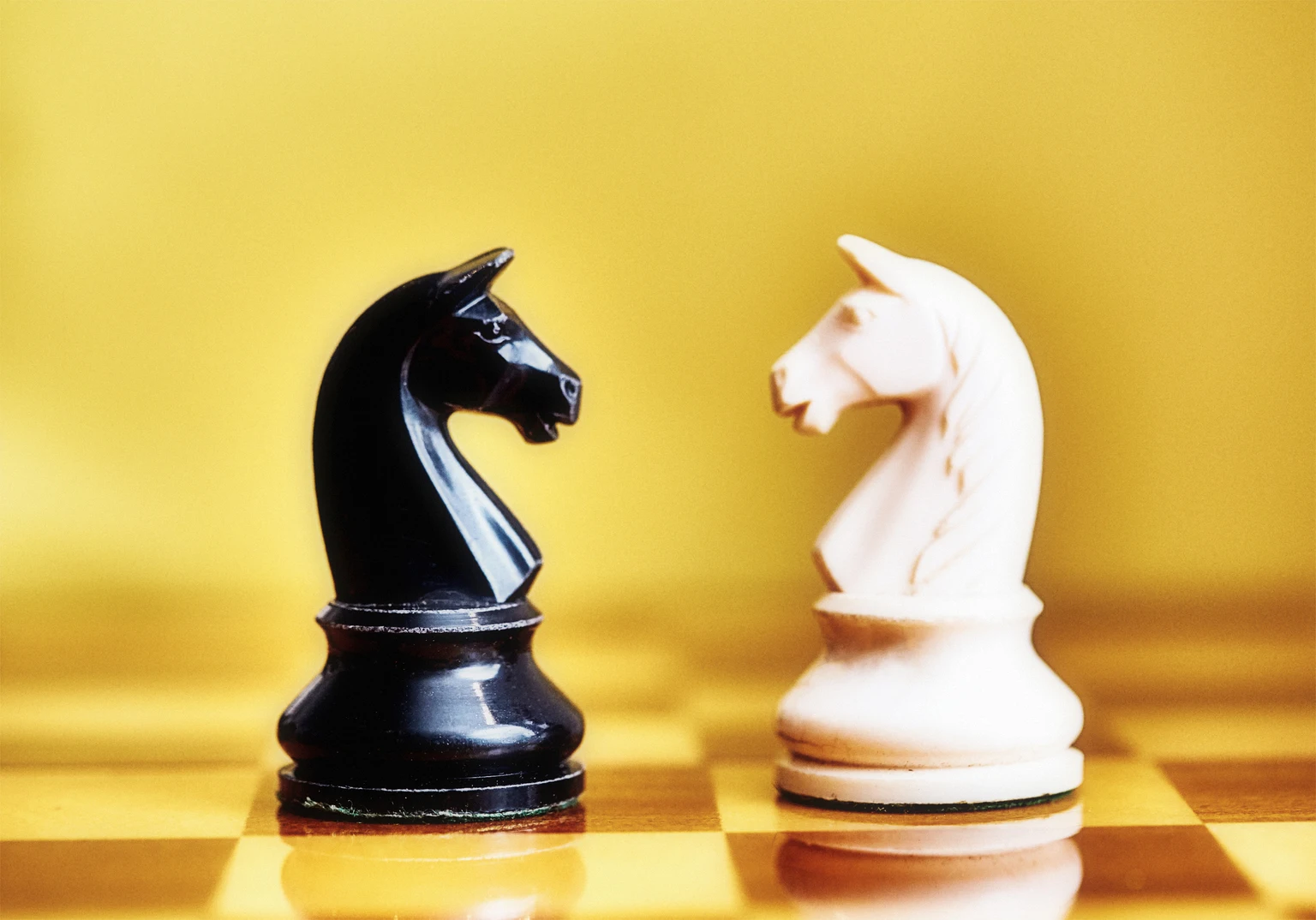 Conflict and rivalry: black and white chess knights face off against each other