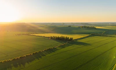 A beautiful aerial/drone view over agricultural fields in the UK at close to sunset