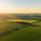 A beautiful aerial/drone view over agricultural fields in the UK at close to sunset