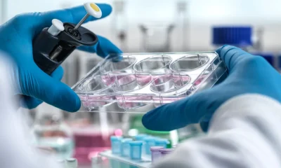 Scientist working with cell cultures in a lab, conducting research and analysis.