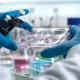 Scientist working with cell cultures in a lab, conducting research and analysis.
