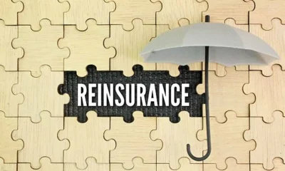 Puzzle, umbrella with the word REINSURANCE. insurance reform concept.