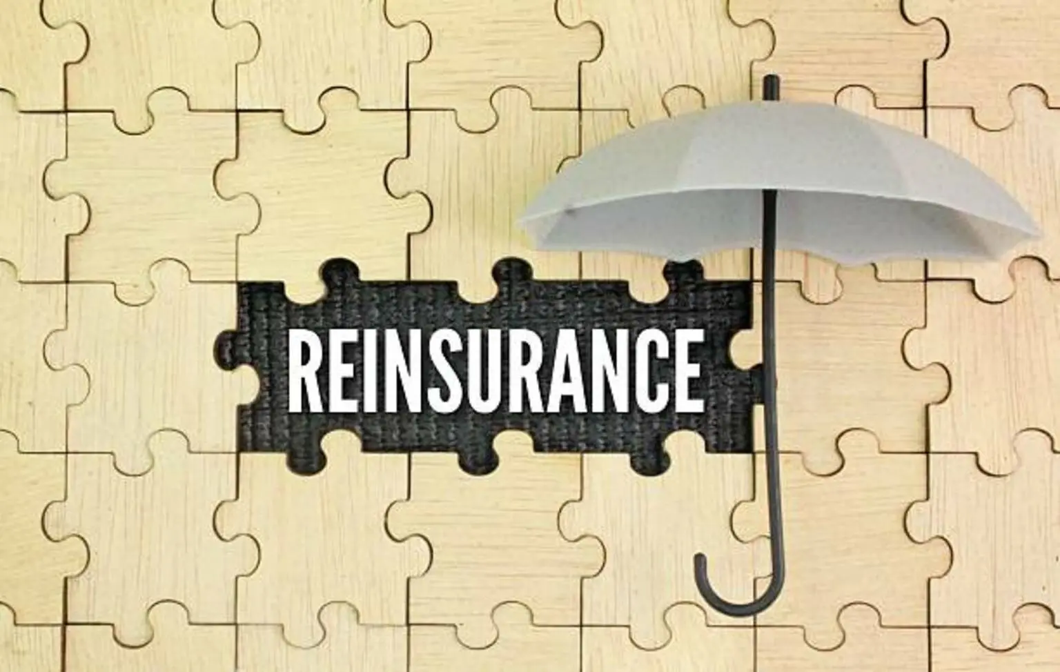 Puzzle, umbrella with the word REINSURANCE. insurance reform concept.