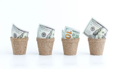 Money Growth Concept Hundred Dollar Bills in Pots Symbolizing Financial Investment and Returns