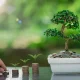 INCM: Holding Steady Through Varying Market Conditions (NYSEARCA:INCM)