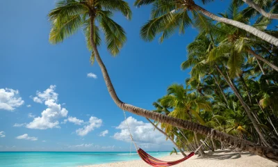 tropical beach with coconut palm and a colorful hammock