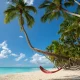 tropical beach with coconut palm and a colorful hammock