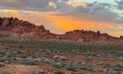 Integra Resources: Strong Growth, Tier-One Assets, And A Deep NAV Discount (NYSE:ITRG)