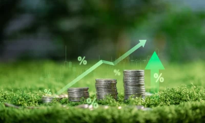 Stacked coins on green moss with rising arrow and market chart overlay show investment growth, interest rate gains, savings, ROI, portfolio wealth and green finance strategy for long-term returns.