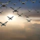 Flock of drones in the sky at sunset