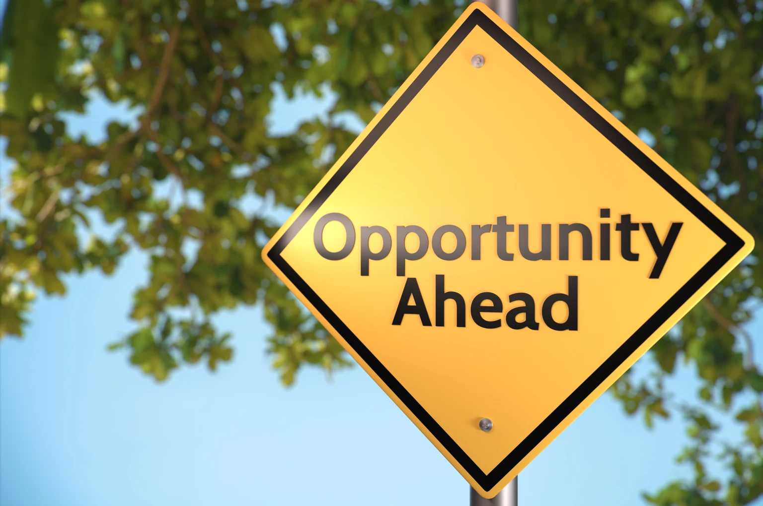 Everyone Is Avoiding These REITs, That Is The Opportunity