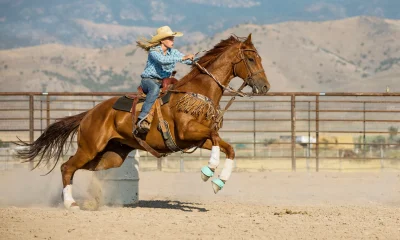 Lumentum: Speed Is Everything