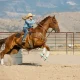 Lumentum: Speed Is Everything