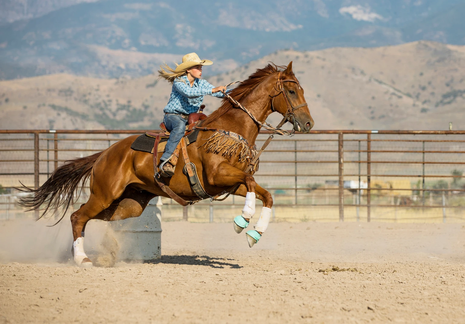 Lumentum: Speed Is Everything