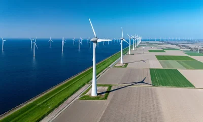 Investing in Indonesia’s Renewable Energy Sector: A Market Entry Guide for Foreign Investors