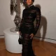 Janelle Monae Lucas Museum