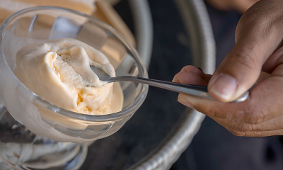 So Delicious non-dairy dessert recalled over possible stones, hard objects