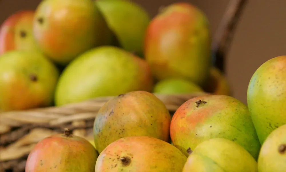 Walmart mangoes recalled over potential Salmonella contamination