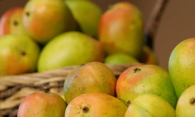 Walmart mangoes recalled over potential Salmonella contamination