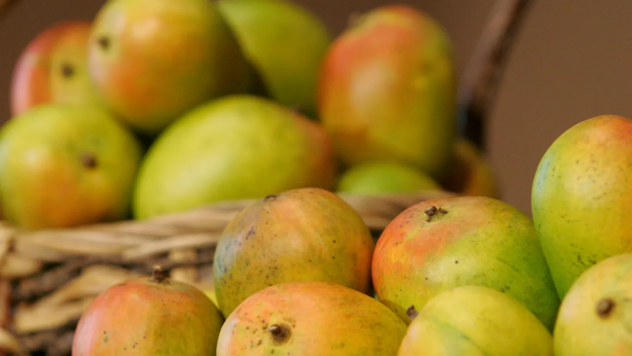 Walmart mangoes recalled over potential Salmonella contamination