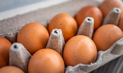 Happy Hens organic eggs recalled after salmonella sickens 23 people