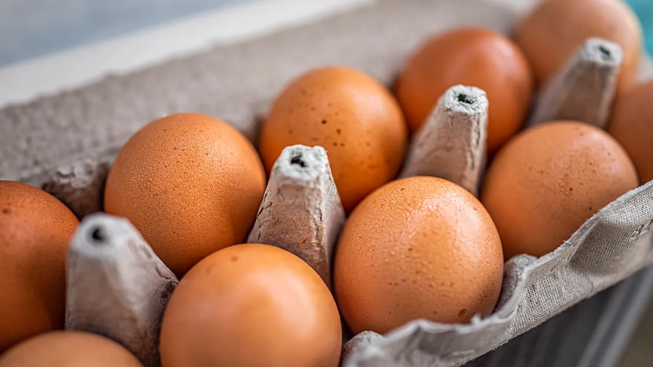 Happy Hens organic eggs recalled after salmonella sickens 23 people