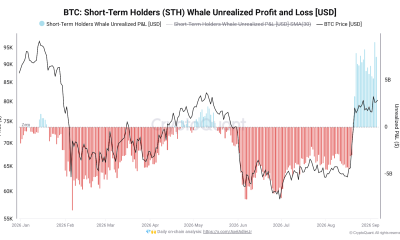 Bitcoin Short-Term Holder Whales Sit on Record $9 Billion Unrealized Gains