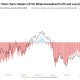 Bitcoin Short-Term Holder Whales Sit on Record $9 Billion Unrealized Gains