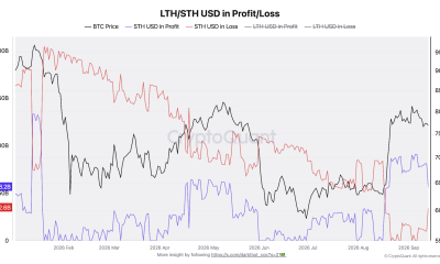 Bitcoin Short-Term Holders Near One Month in Partial Profit in New Bull Signal