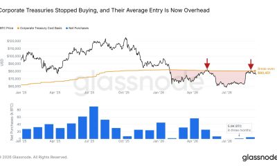 Bitcoin Corporate Treasuries Stay Underwater With BTC Price Below $80,500