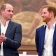 Prince William and Prince Harry