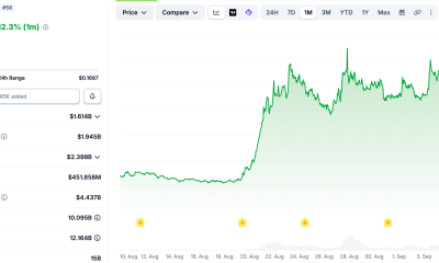 StablecoinX Names New CEO to Oversee ENA Treasury