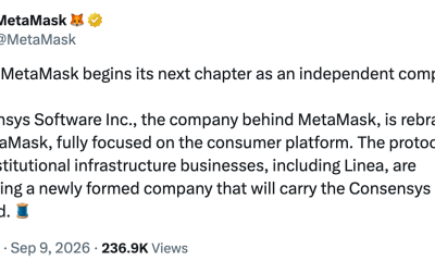 Consensys Plans Split as MetaMask Becomes Standalone Company