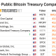 VanEck Flags Metaplanet Executive Stock Dilution