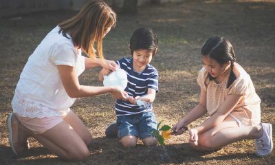 Building a Career on Service and Integrity