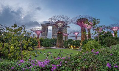 Singapore is one of Asia’s leading financial hubs and attracts professionals, entrepreneurs, and families from around the world.
