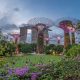 Singapore is one of Asia’s leading financial hubs and attracts professionals, entrepreneurs, and families from around the world.