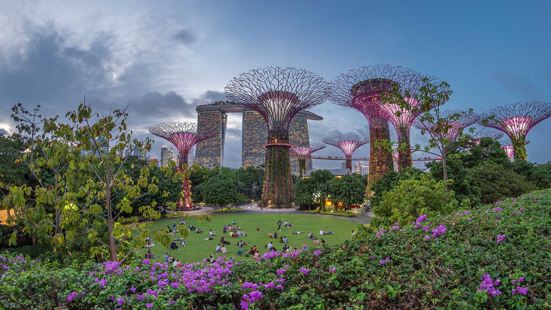Singapore is one of Asia’s leading financial hubs and attracts professionals, entrepreneurs, and families from around the world.