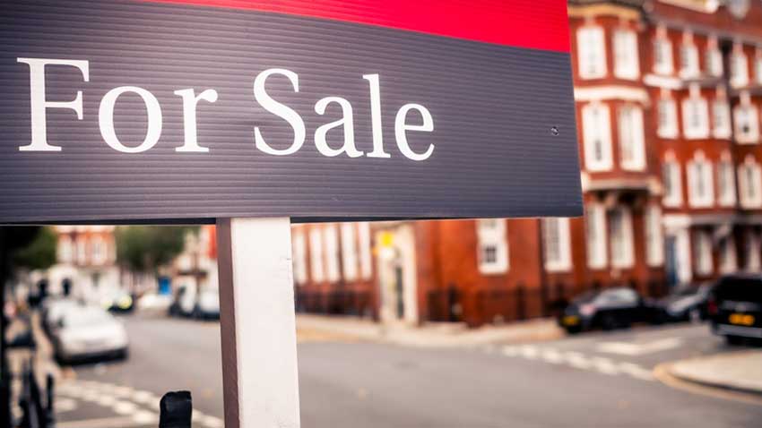 Zoopla profit returns despite advertising revenue fall